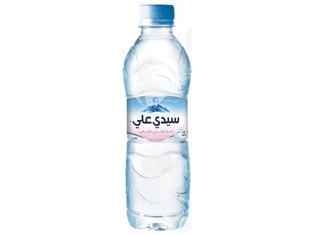 Sidi Ali